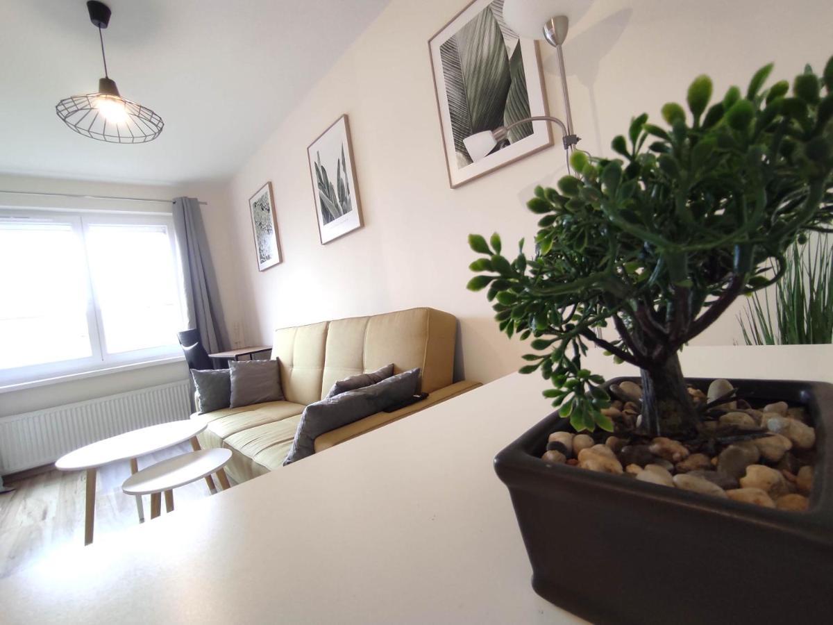 ***Casablanca Apartament*** - 40M² ✓ Rybnik  Zewnętrze zdjęcie