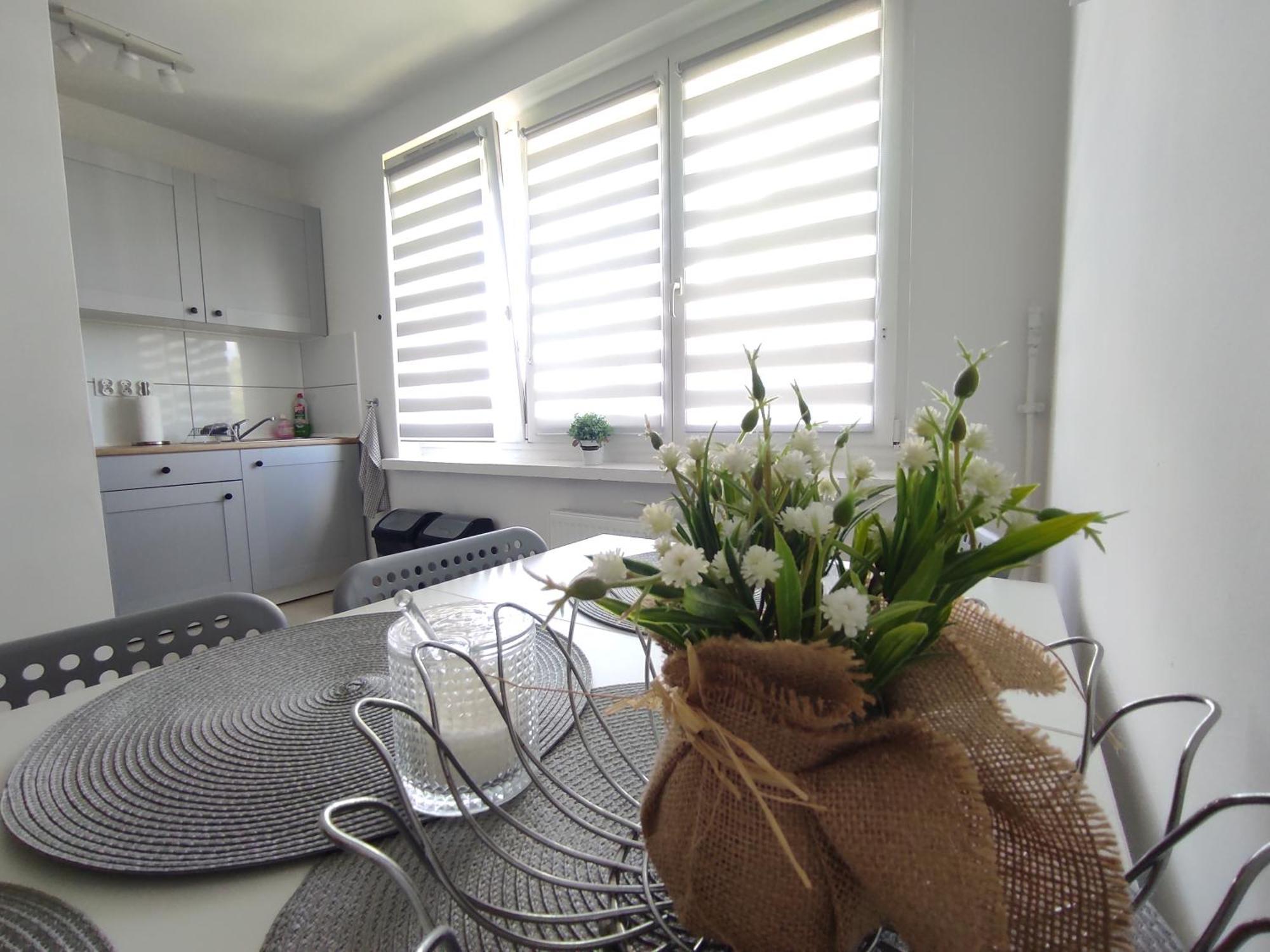 ***Casablanca Apartament*** - 40M² ✓ Rybnik  Zewnętrze zdjęcie
